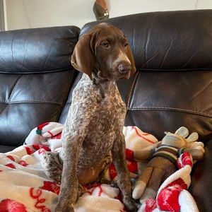 Meet your Posher, Sam